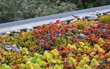 the cost of East Kingston green roof installation